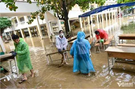 Bộ GD-ĐT: Chuẩn bị 10 triệu bản sách giáo khoa cấp phát miễn phí cho học sinh vùng lũ