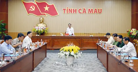 Cà Mau kiện toàn Ban Chỉ đạo, thúc đẩy phát triển năng lượng sạch