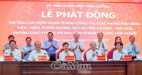Tỷ lệ giải ngân vốn đầu tư công của Cà Mau phải cao hơn mức bình quân cả nước