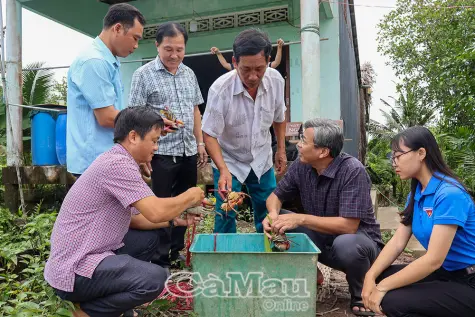 Xã Ðất Mới nhân rộng mô hình sản xuất hiệu quả