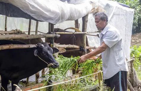 Ðổi thay từ những mô hình nhỏ