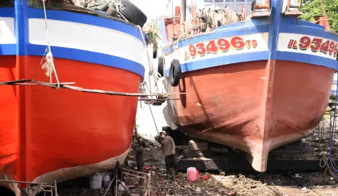 Nặng tình với biển