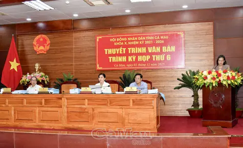 Thuyết trình văn bản trình kỳ họp cuối năm của HĐND tỉnh