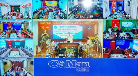 Khẩn trương hoàn tất cấp thẻ BHYT cho 18 xã, phường An toàn khu