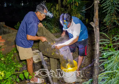 Về rừng xem đổ đục