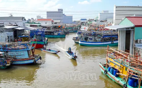 Siết chặt quản lý tàu cá, chống khai thác IUU