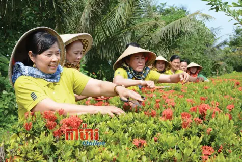 ធានានូវវឌ្ឍនភាពនៃកម្មវិធីគោលដៅជាតិ