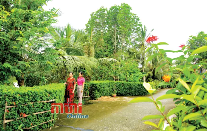 ដើមឈើមួយដើម - ជាទង្វើដ៏ល្អមួយ