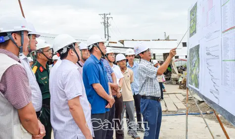 Kiểm tra tiến độ thi công Bệnh viện 1.200 giường