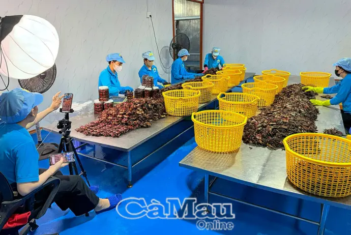 Mở rộng tiêu thụ sản phẩm OCOP trên nền tảng số