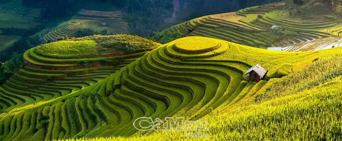 Những ruộng bậc thang đẹp nhất giữa đại ngàn Tây Bắc