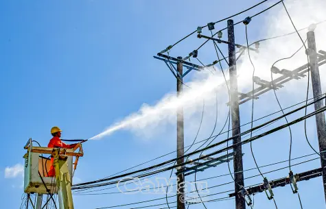 Cà Mau nghiêm túc thực hiện Chỉ thị số 31-CT/TW