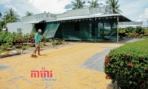 ខេត្ត Cà Mau សម្រេច ១/២ បមាណីសំខាន់ៗ ដែលនាយករដ្ឋមន្ត្រីប្រគល់ឱ្យ