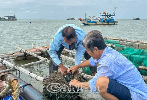 Giữ màu xanh biển cả, vun bồi sinh kế bền vững