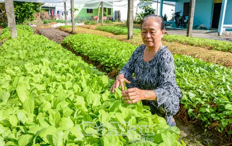 Ðồng bào Công giáo tích cực xây dựng quê hương