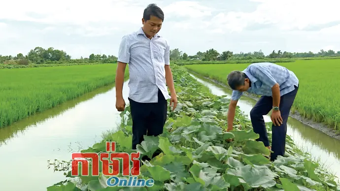 ទម្រង់ "៣ ក្នុង ១" កសាងកសិកម្មបៃតង