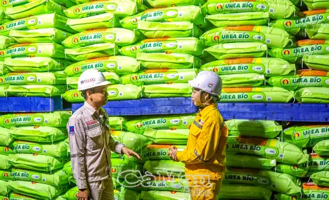 Kinh tế Cà Mau năm 2025 chuyển động tích cực