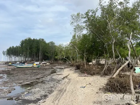 Hơn 185 tỷ đồng xây dựng kè bảo vệ bờ biển thuộc phường Hiệp Thành