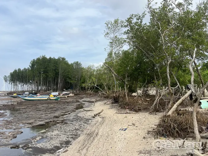 Hơn 185 tỷ đồng xây dựng kè bảo vệ bờ biển thuộc phường Hiệp Thành