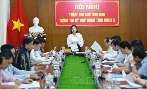 Ban Kinh tế - Ngân sách HĐND tỉnh thẩm tra các văn bản trình Kỳ họp thứ 7