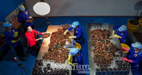 Cú hích từ công nghệ