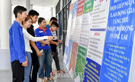 Đổi mới phiên giao dịch việc làm