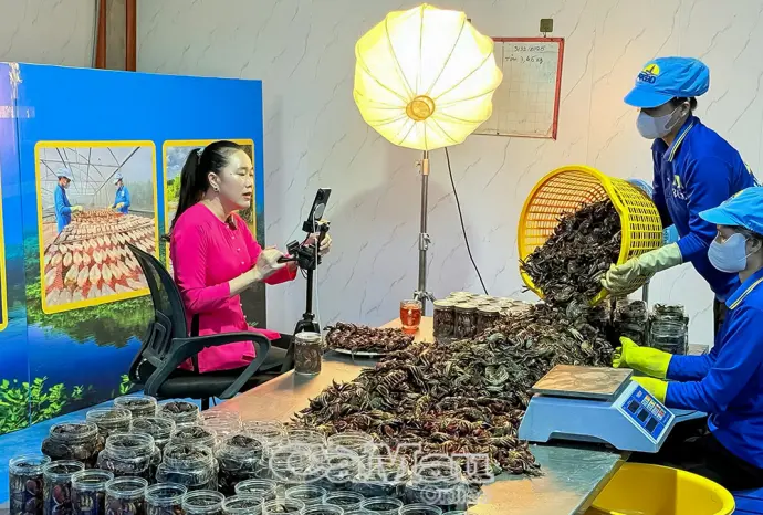 Xây dựng hệ thống Liên minh Hợp tác xã vững mạnh