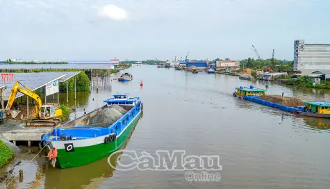 Kiện toàn thuỷ lợi, chủ động chống xâm nhập mặn