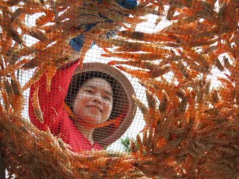 Rộn ràng làng nghề đón Tết