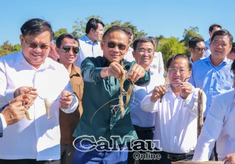 Dự án của tình hữu nghị