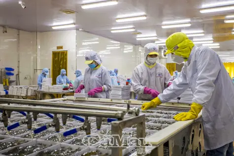 Kỳ vọng năm mới