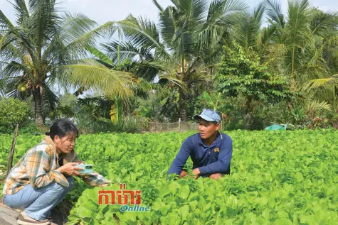 ឈានឡើងអាស្រ័យពលកម្មច្នៃប្រតិដ្ឋ