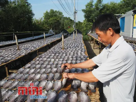 ភូមិរបរទទួលបុណ្យ Tết