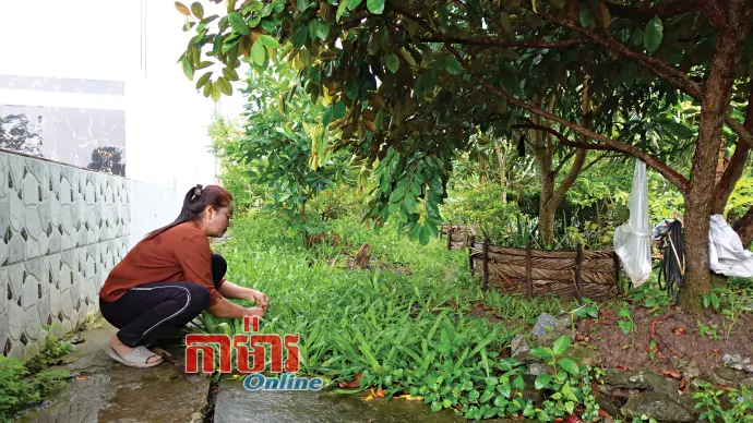 ឈានឡើងផ្តើមពីស្រះបង្គា និងភ្លឺស្រះ