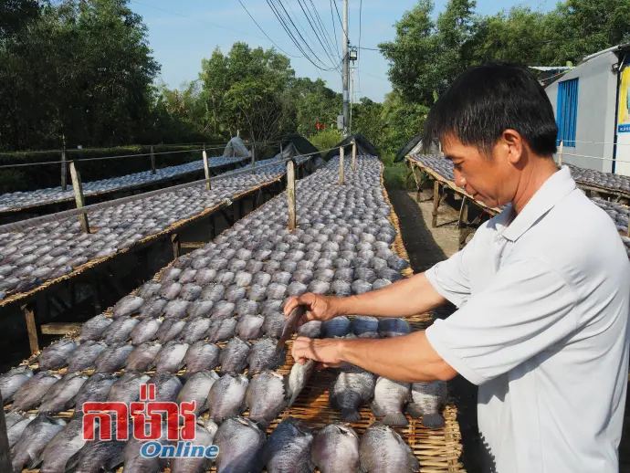 ភូមិរបរទទួលបុណ្យ Tết