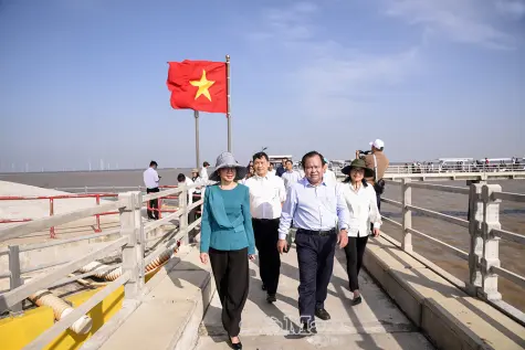 Khảo sát, hỗ trợ Cà Mau phát triển kinh tế - du lịch