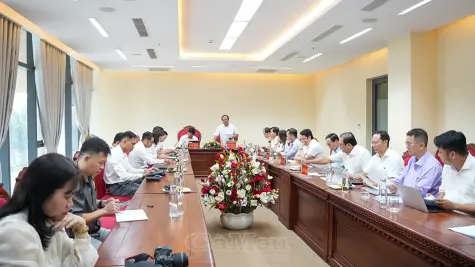 Cà Mau và Viettel bàn nội dung hợp tác về khoa học, công nghệ, chuyển đổi số