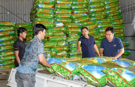 Cung trầm của Đất - Khát vọng của người