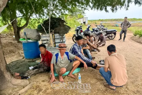 Đột kích tụ điểm đá gà ăn tiền ở Vĩnh Hậu