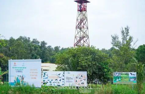 Chủ động phòng cháy, chữa cháy rừng mùa khô