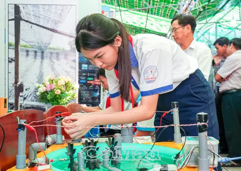 Hơn 220 dự án tham gia cuộc thi Khoa học, kỹ thuật cấp tỉnh năm học 2025 - 2026