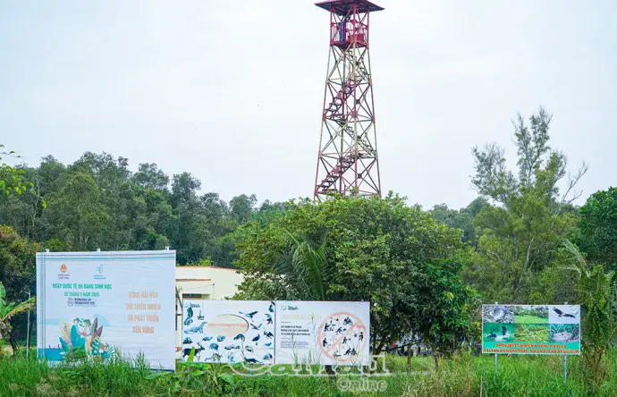 Chủ động phòng cháy, chữa cháy rừng mùa khô