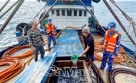 Bắt giữ tàu cá vận chuyển trái phép dầu trên biển