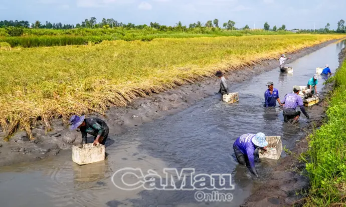 Thay đổi nhỏ, giá trị lớn
