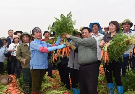 Phát huy vai trò, khơi dậy sức sáng tạo của giai cấp nông dân để xây dựng, phát triển đất nước trong kỷ nguyên mới