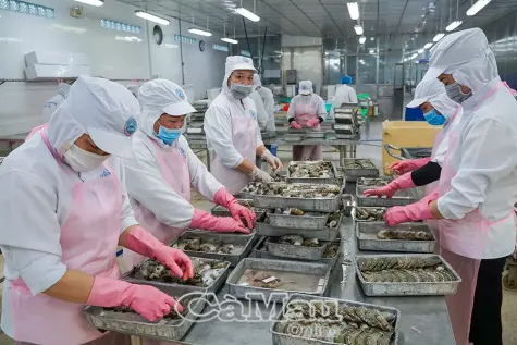 Quyết tâm giữ đà tăng trưởng