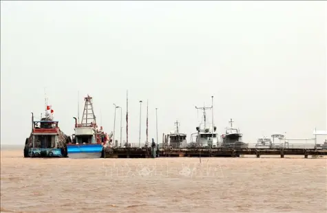 Chính phủ ban hành Nghị định quy định chi tiết thi hành Luật Thuỷ sản