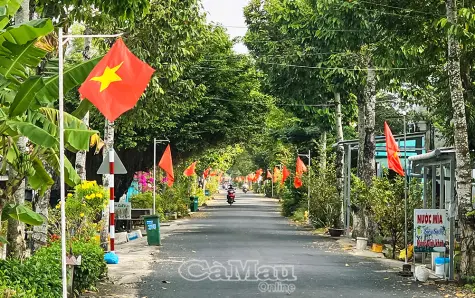 Đường cờ Tổ quốc - Điểm nhấn đẹp ở xã Vĩnh Phước