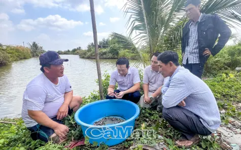 Hỗ trợ sinh kế - Ðiểm tựa thoát nghèo