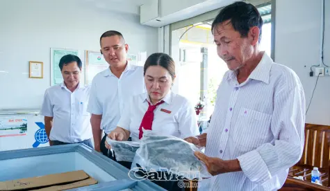 Chủ động hội nhập, tạo đà tăng trưởng cao